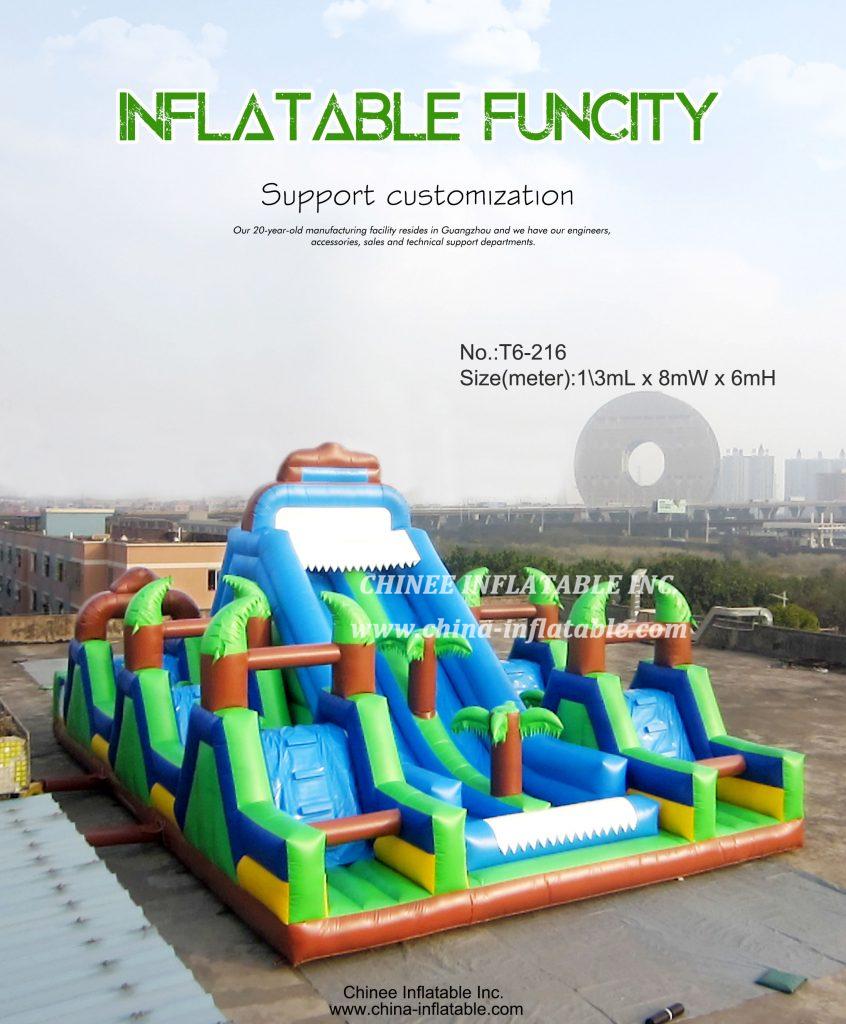 T6-215 - Chinee Inflatable Inc.