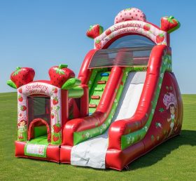 T8-8321 Strawberry Shortcake Theme Inflatable Dry Slide