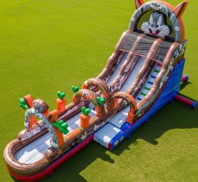 T8-7302 Looney Tunes Theme Inflatable Water Slide