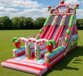 T8-9172 Strawberry Theme Inflatable Slide