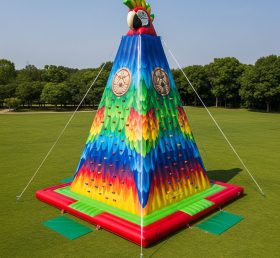 T11-4657 Parrot Theme Inflatable Climbing Wall